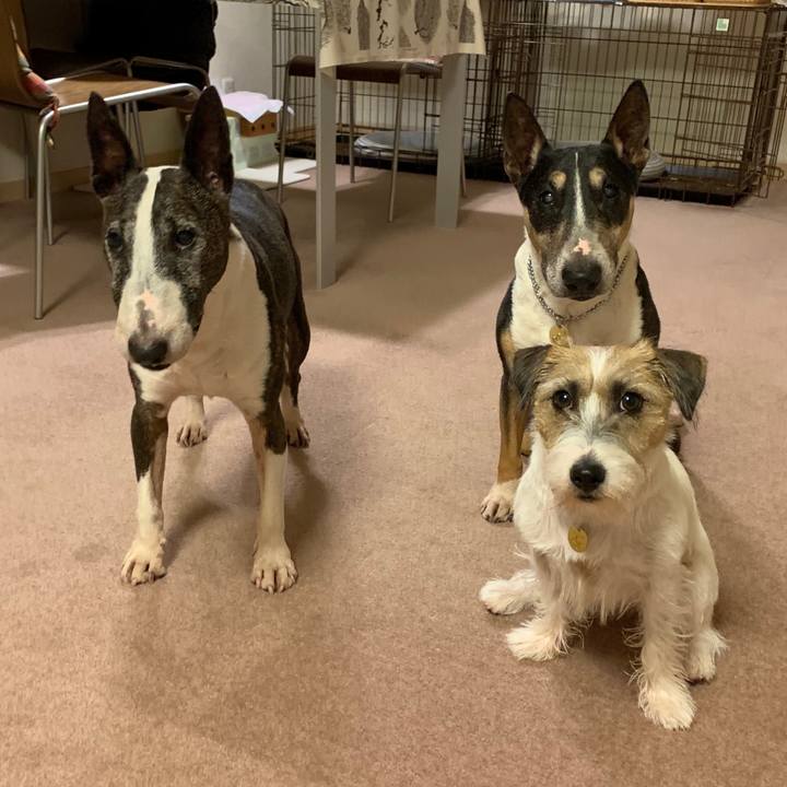 A941c331 d295 4f93 bd09 2de7f4e769e4 1600429196316