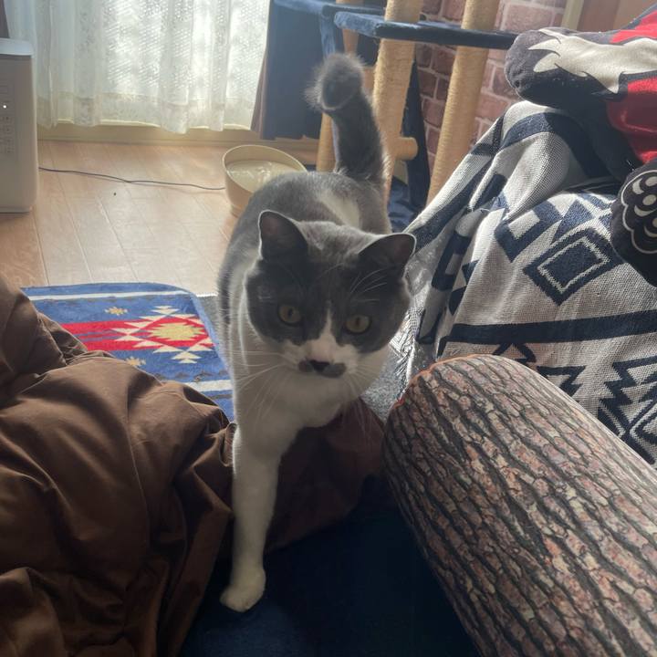 A941f3ff 2708 4434 8cd6 049bf4540f2a 1673140789851