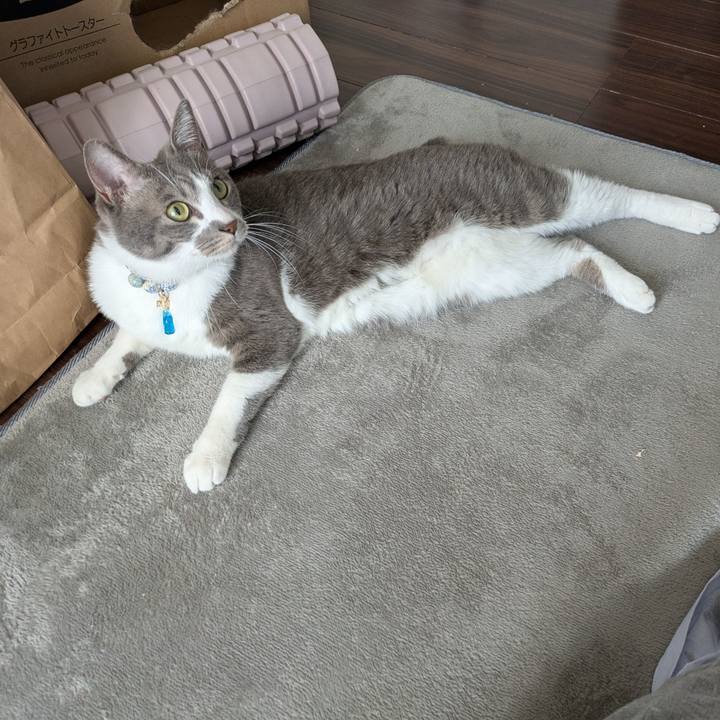 A941f563 53b3 4473 aa8d 5808de81e083 1733207126871