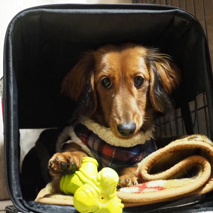 A941ffef d9da 4281 bb6c 34931227101f 1709291990625