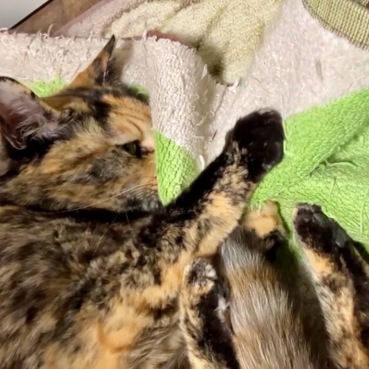 A94219c7 0fad 4de7 9f65 a45b38e74ebf 1735331410995