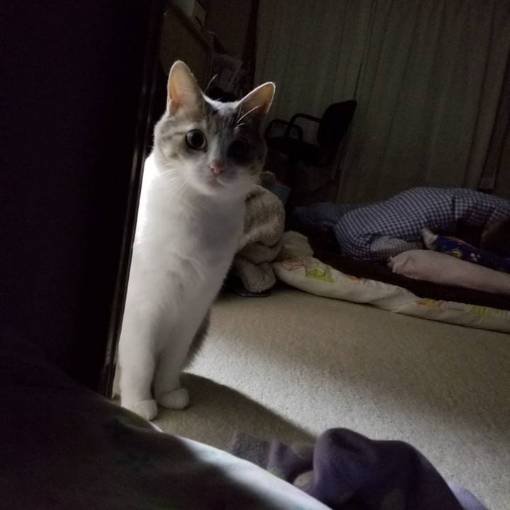 A9425b4c 5c10 43d4 8e80 c5cb60475dd3 1514499759931