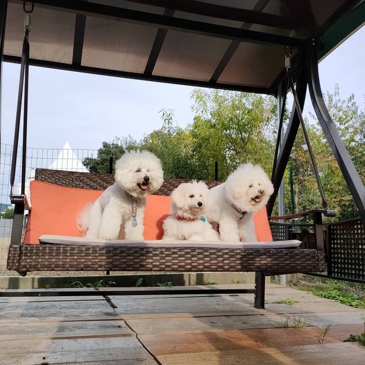 A9426d63 5943 4c61 a7d8 d5056e881f25 1762165172320