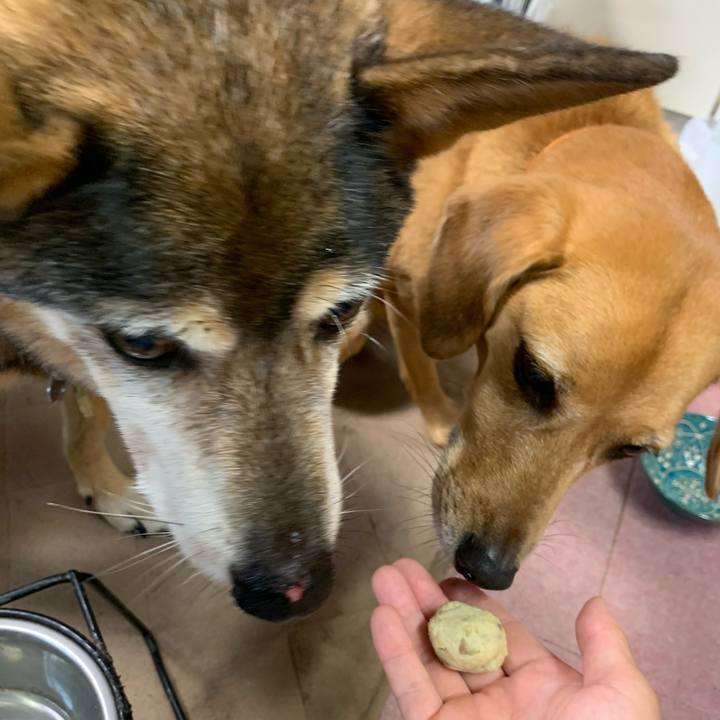 A9427671 81b9 4df9 8a87 4825ca707ff2 1571551427194