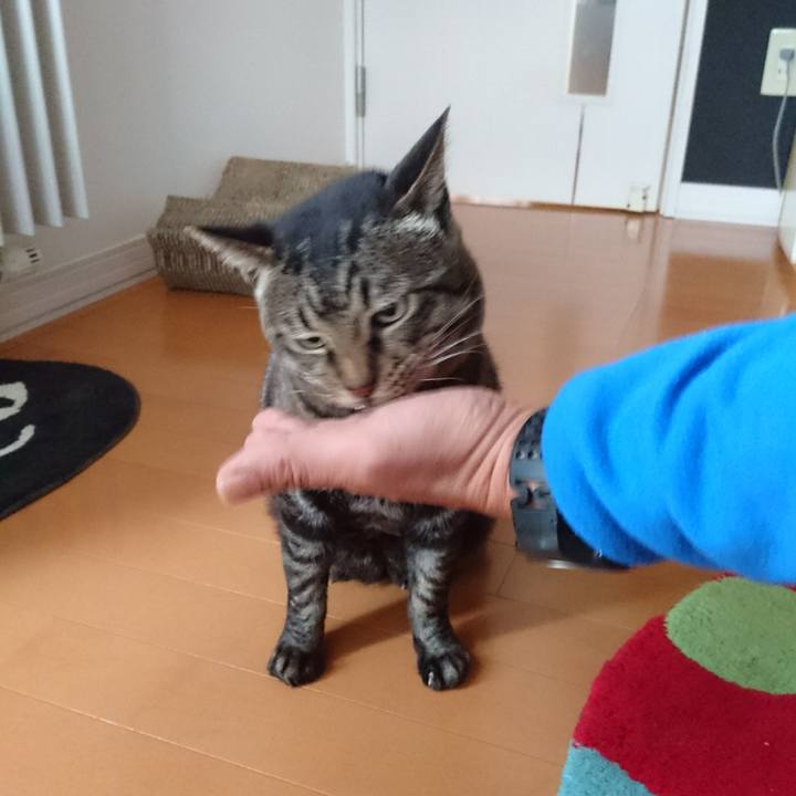 A94297ba bc74 4481 b1c7 a90ce56b69e5 1537999584783