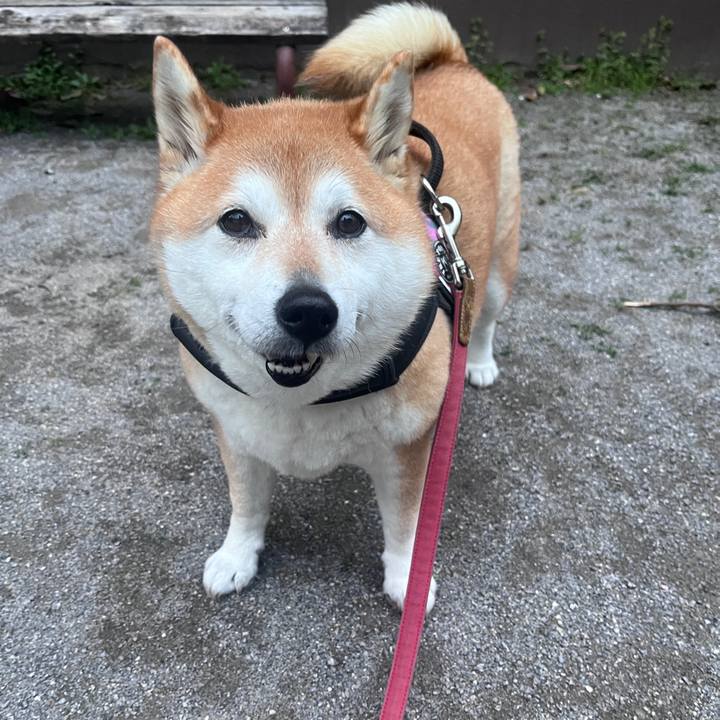 A942ccd0 2863 4fe2 b3df 6524e07f53f0 1711877194919