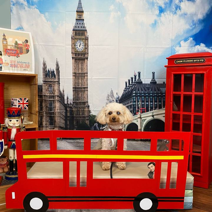 A942e56c 99e6 483c b973 ef8d43b0807d 1619848963660