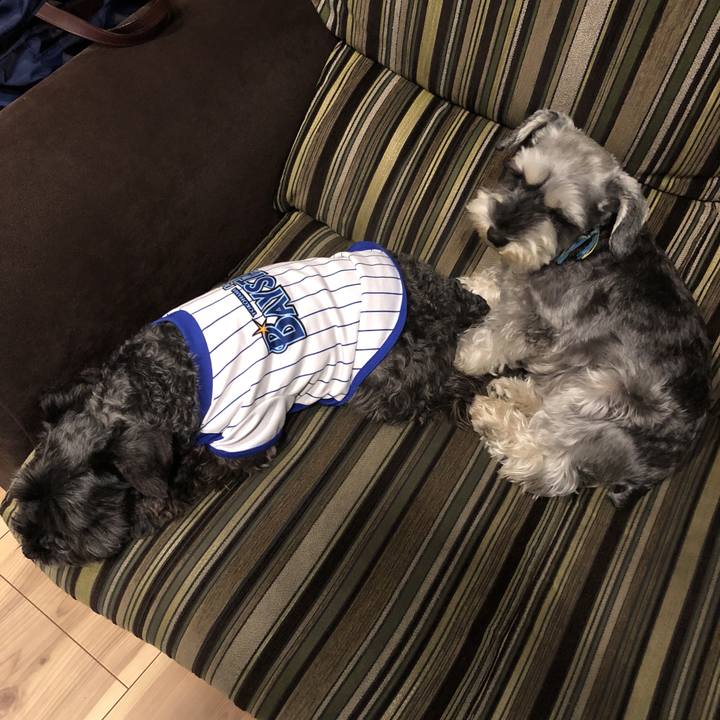 A942f3bf 04a9 4fcf 8fc7 1cb312955231 1524741586122