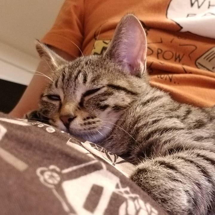 A9431bd3 8aa5 4702 aa11 4b2d8f635932 1540383586027