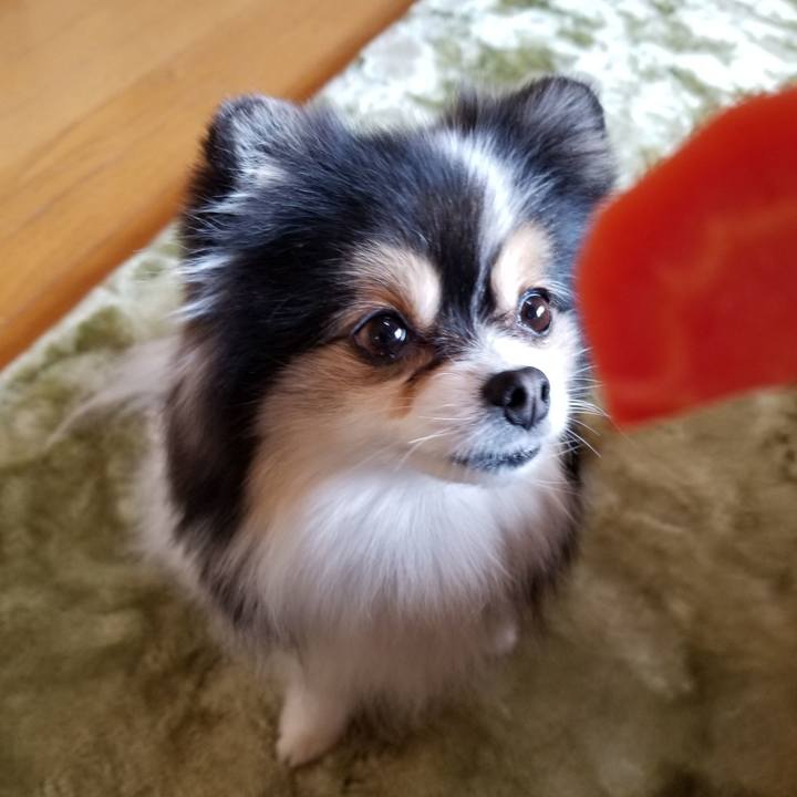 A943358e 2c77 4a3e b094 b5621d66180e 1578111311648