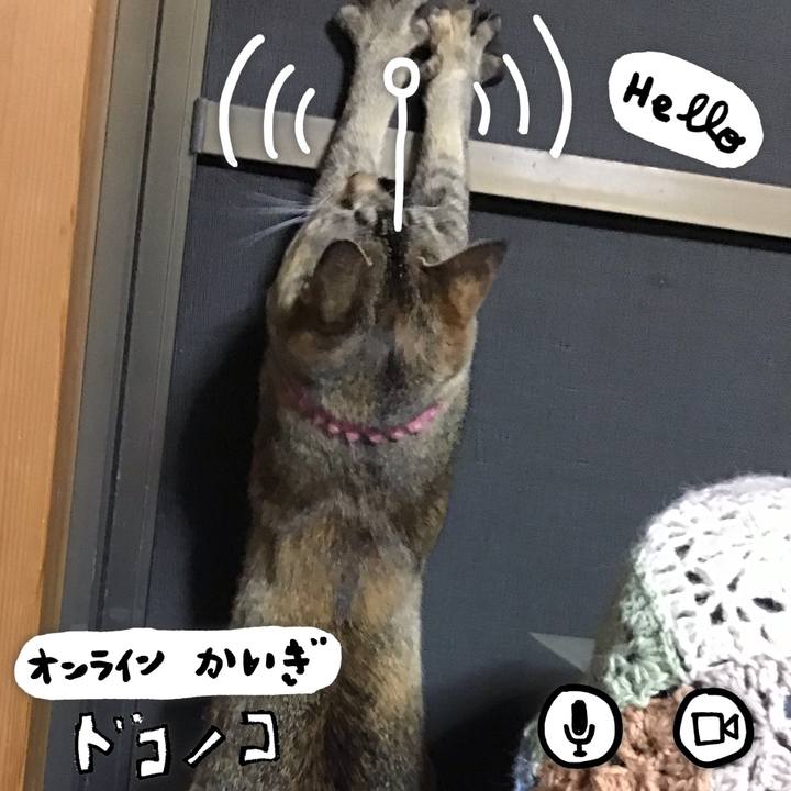 A9437f40 f496 4134 aa4d a5d86d88f65b 1591442225472