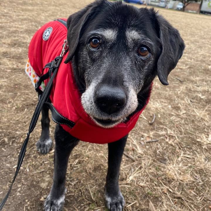 A94380f9 9ad1 41ba 8f4e 0a5d0c35f4f2 1758983438157