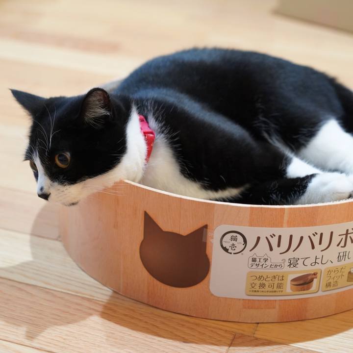 A9438c92 211b 45ba 9536 22ee802cff40 1623592145873