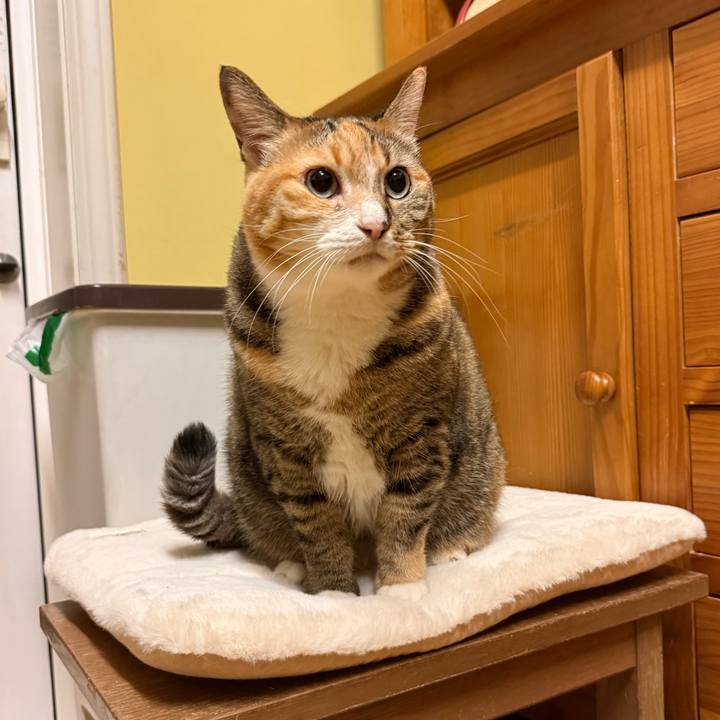 A943ac37 b726 4922 ac22 799c0c473e7e 1764062921292