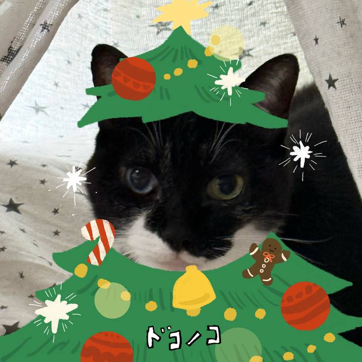 A943b7fc 9202 4428 9e57 69a8573d73bd 1763099495052