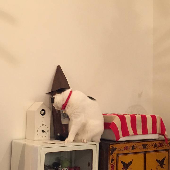 A943b972 f11a 4cd5 b94c 790734cd1cc1 1535714410711