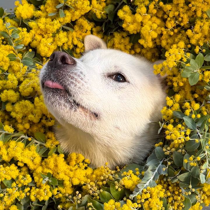 A943d425 d478 4e6e 9831 ca7ac2c437dc 1773579150244