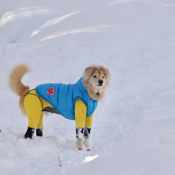 A944052d fa37 46f3 bfcc e6cf5a8d87ee 1647576488952