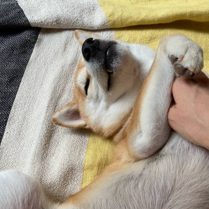 A944328d 3780 42b3 ad21 309b459b8a56 1728277758439