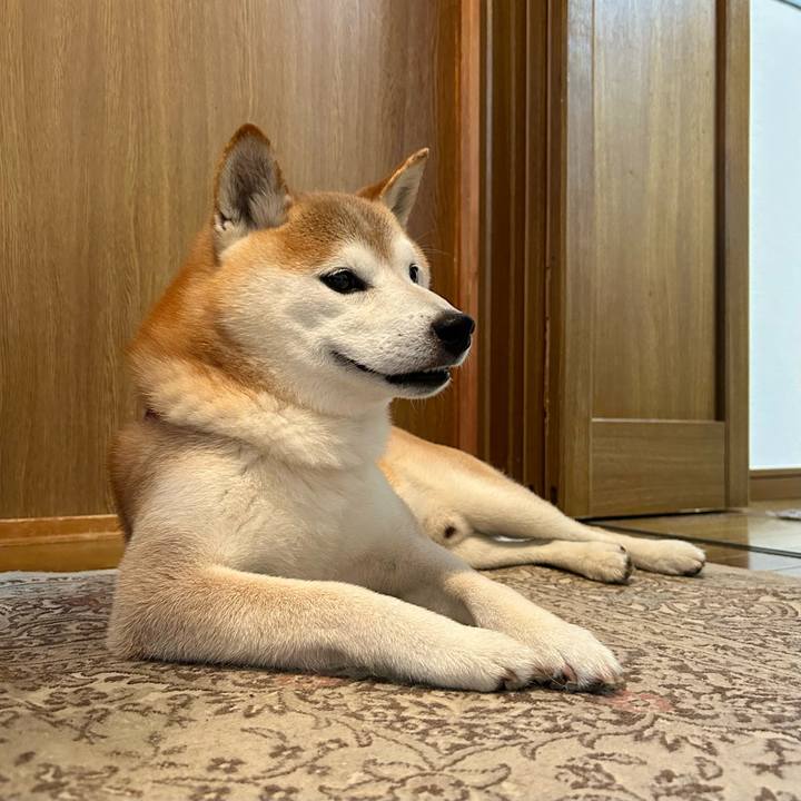 A9444717 6463 4c6c a03c 105d5571dca1 1721645736203