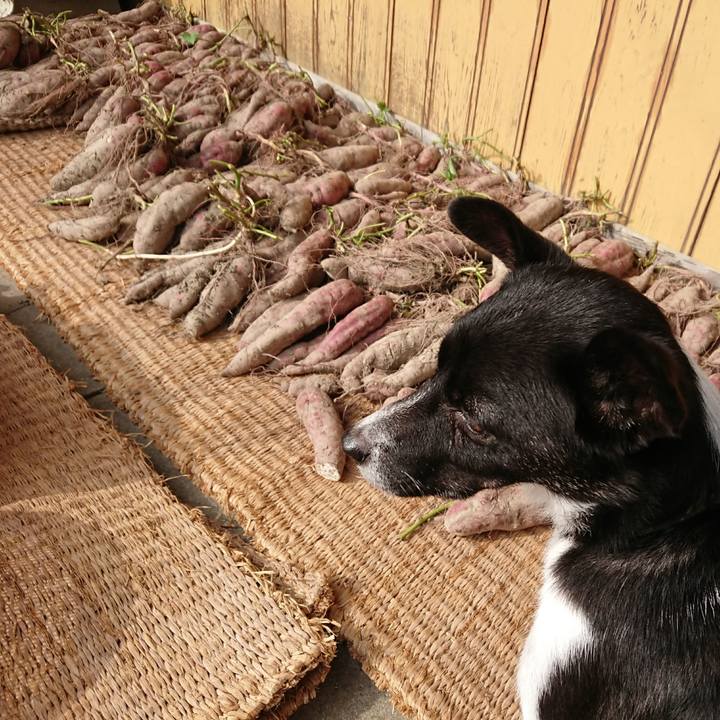 A9449323 beff 4530 b010 602526011bb3 1507902705914