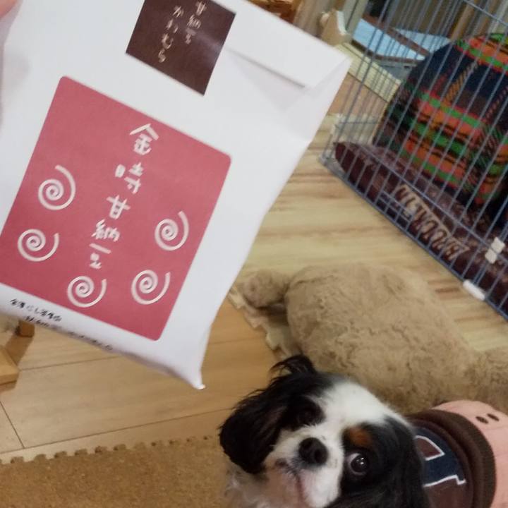 A944b32f e932 4bbb 984b 6eddb95aa1e5 1587035675547