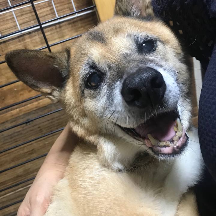 A944ba63 8c7a 4345 86bb 535d023419d1 1537094239931