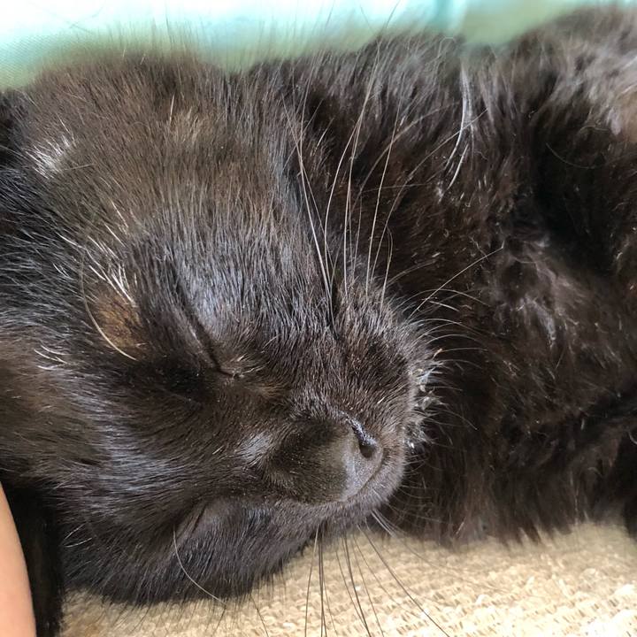 A944e878 8f78 45b4 875f eba686db83d6 1626910954541