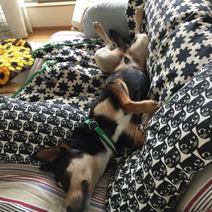 A9450035 15c8 4383 a53d 5ceeb99a47e5 1528688641555