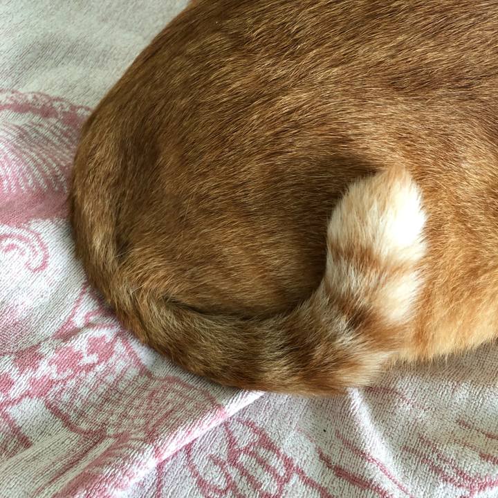 A9452e0b a115 4380 9a29 61ec0c4664a9 1568418937541