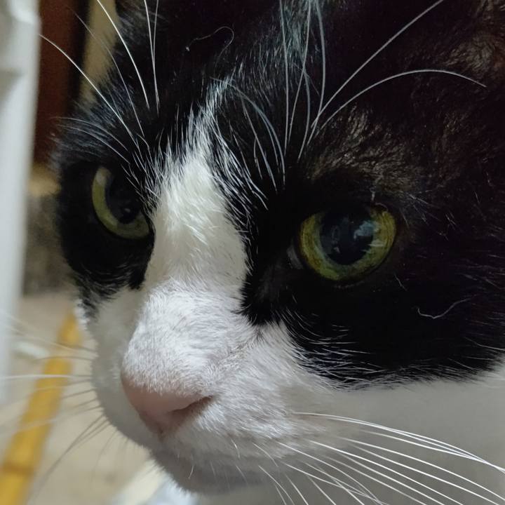 A94537af b505 4fb1 b105 670442d7439d 1605217642869