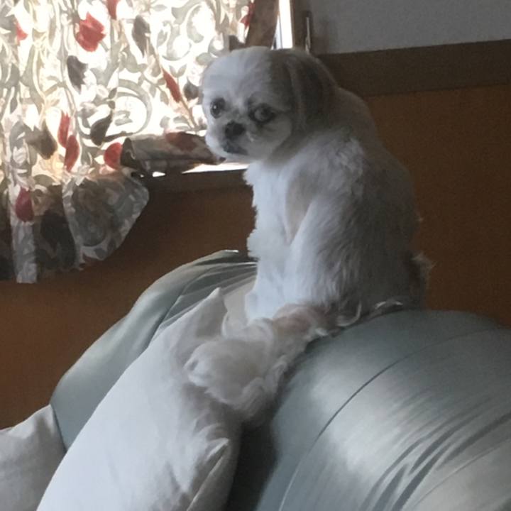 A9459c16 6e99 4cc5 a29a 965343932813 1528963154225