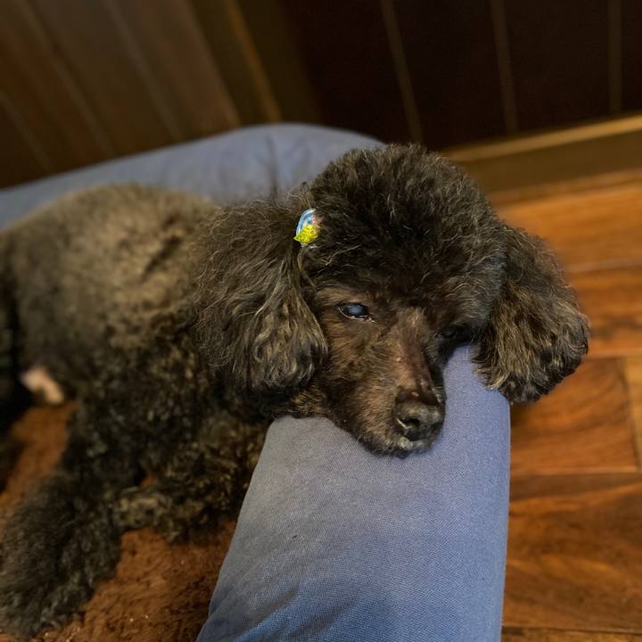 A945a6e2 7d0a 4339 933d 69f6ba0f2925 1590195718904