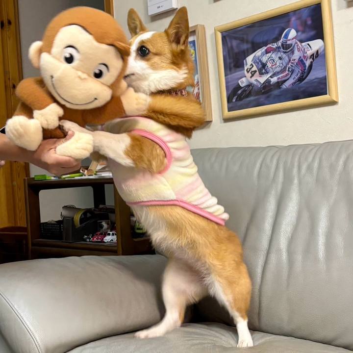 A945c236 9572 48a4 959f 753358485481 1767527858632