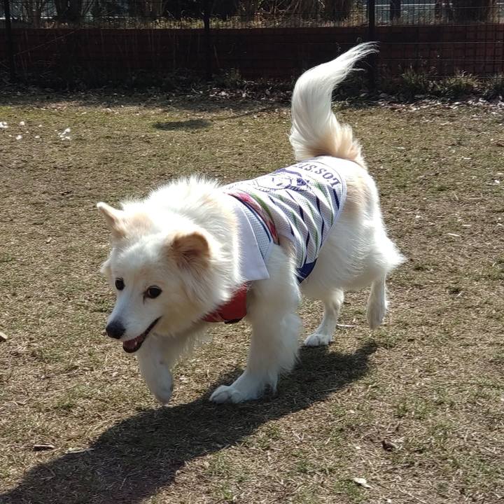 A945f295 4c94 474b ab56 93969c8f273a 1645937194202