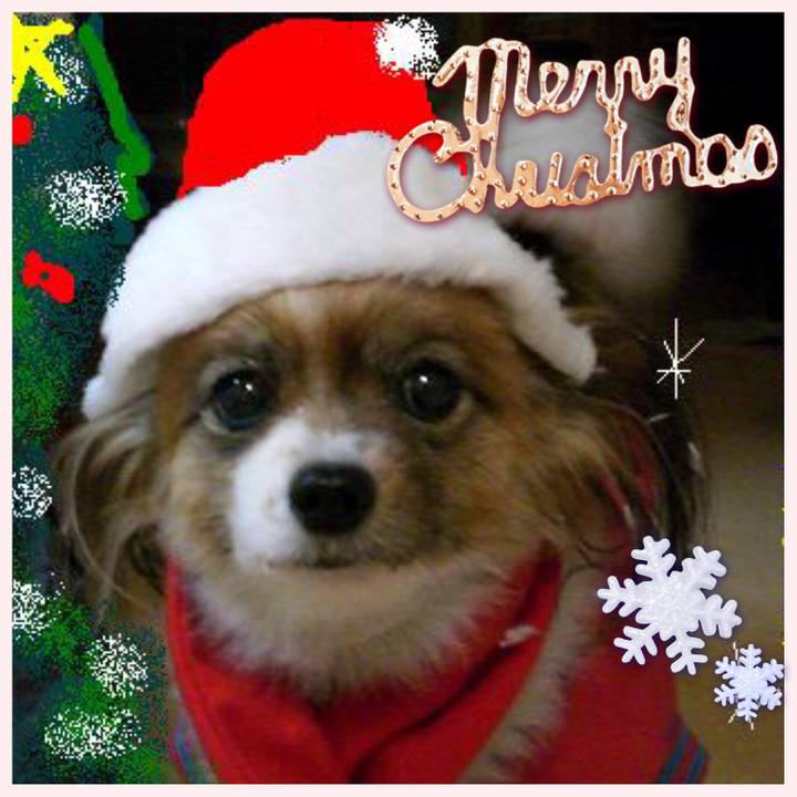 A9460fe9 7c40 4879 a375 b727d8b153f2 1514174517445