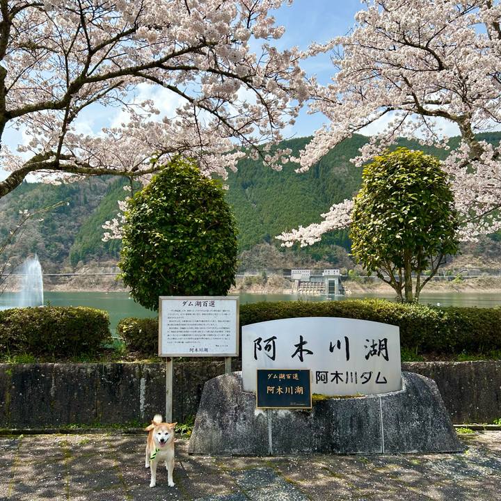 A9464972 22a5 4def 966b 80ec6bb668dd 1744628334237