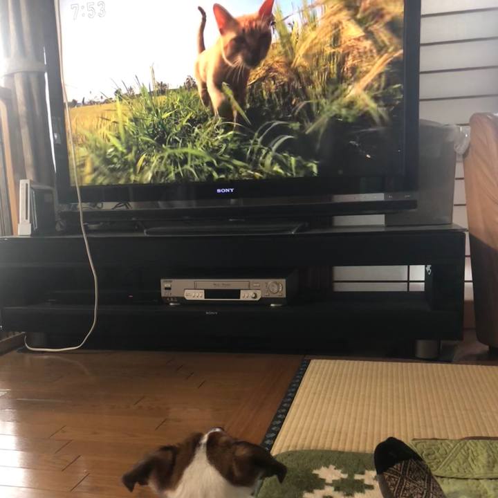 A9464d5d 940d 4590 b861 539dca86b300 1527634784461