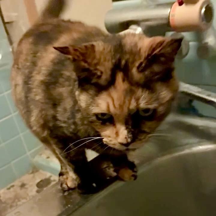 A9466290 478b 49fb bfd1 0ce01e480fc4 1759350101420