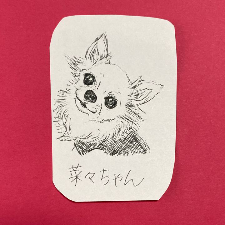 A9469487 ca5f 41e9 9d70 a2a9b2042908 1618804670793