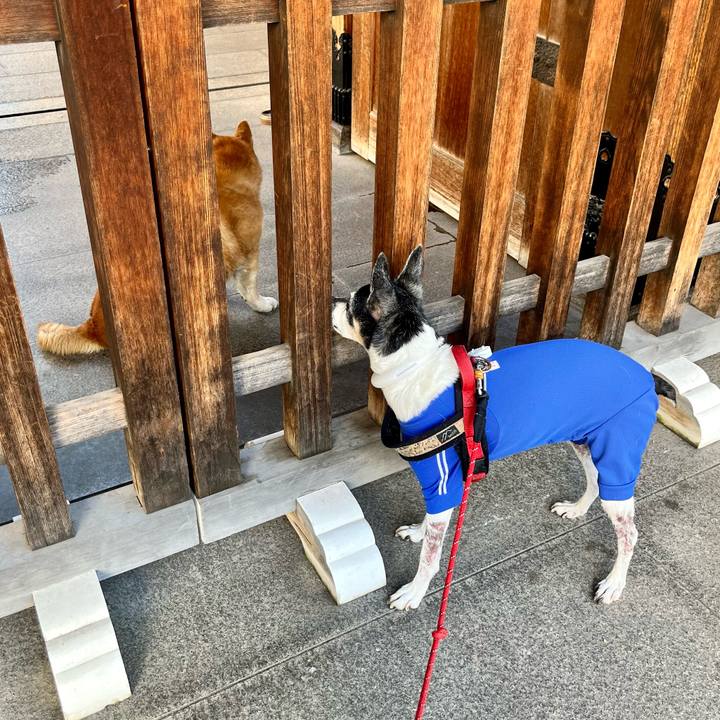 A946ebc5 640b 42d0 ac7c 67f685750330 1653818879083