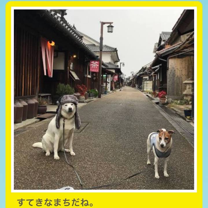 A946f0aa d078 4bf9 a44c 1b74f35058a7 1520307653663