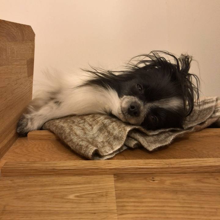 A946f554 9b75 45ad 9074 7e97b5a1d2de 1536408960412