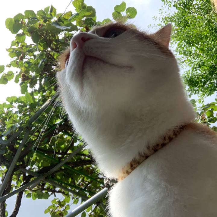 A9472cdd 7144 45b3 a647 e81cf853f465 1596257732944