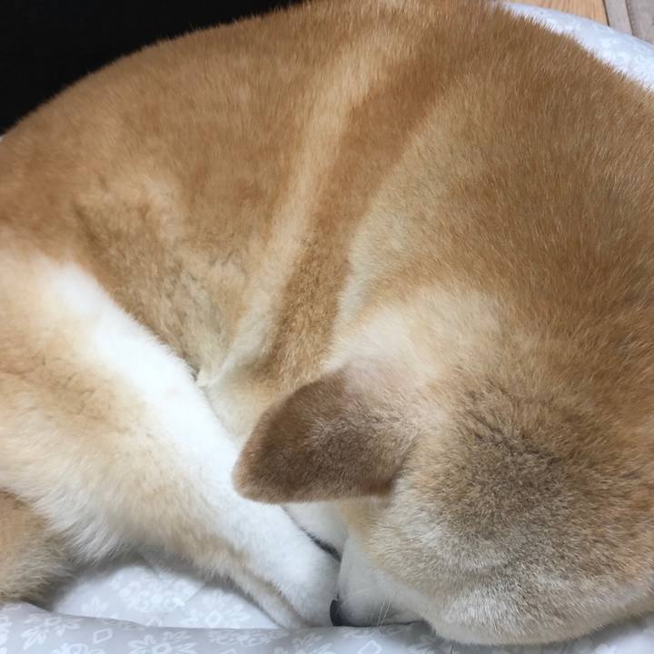 A9473416 59fd 4a5e 9e79 e9ead3dc4f83 1560693923895