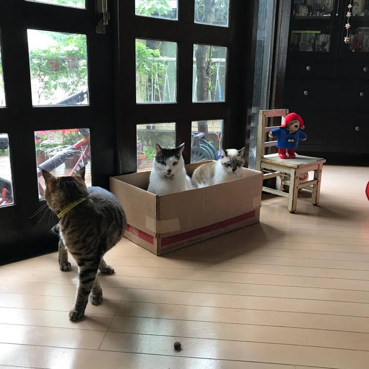 A9473bfb 0e05 429a b86b a6c80b676f25 1524024781940