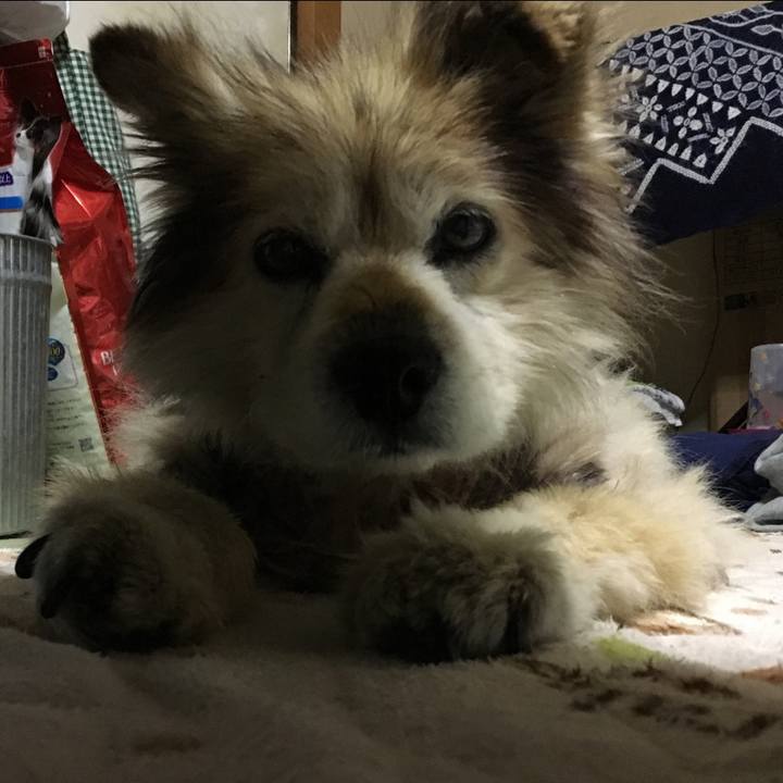 A9476121 49dd 4f42 8e6f 346eccc5f8b0 1571777465223