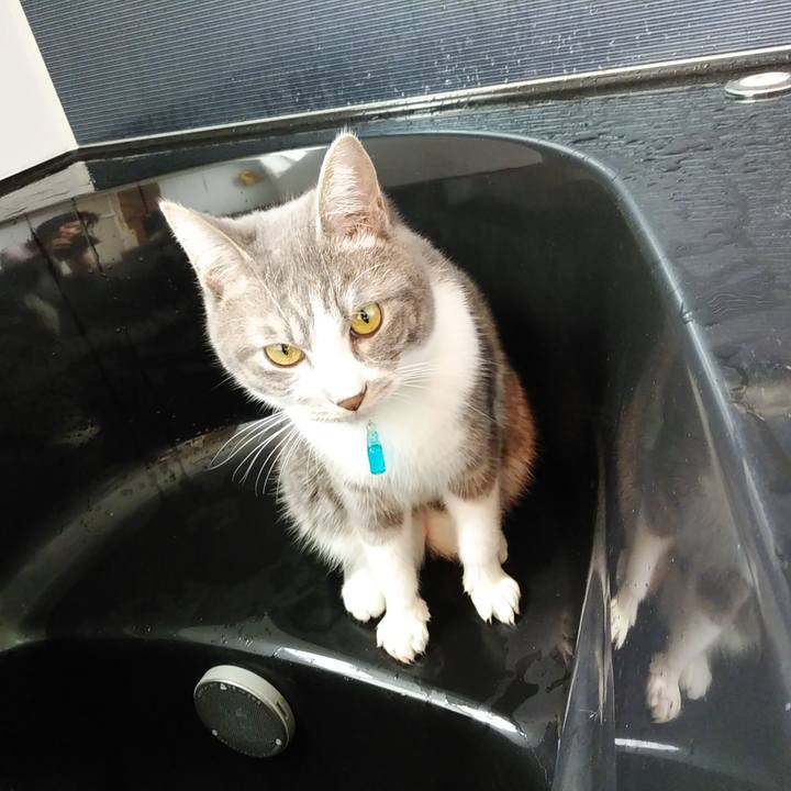 A94779d7 23e2 419e af83 7fab701dfe92 1583537953528