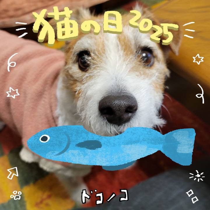 A94799f8 0550 42f8 b729 64b121b87fd1 1740177349613