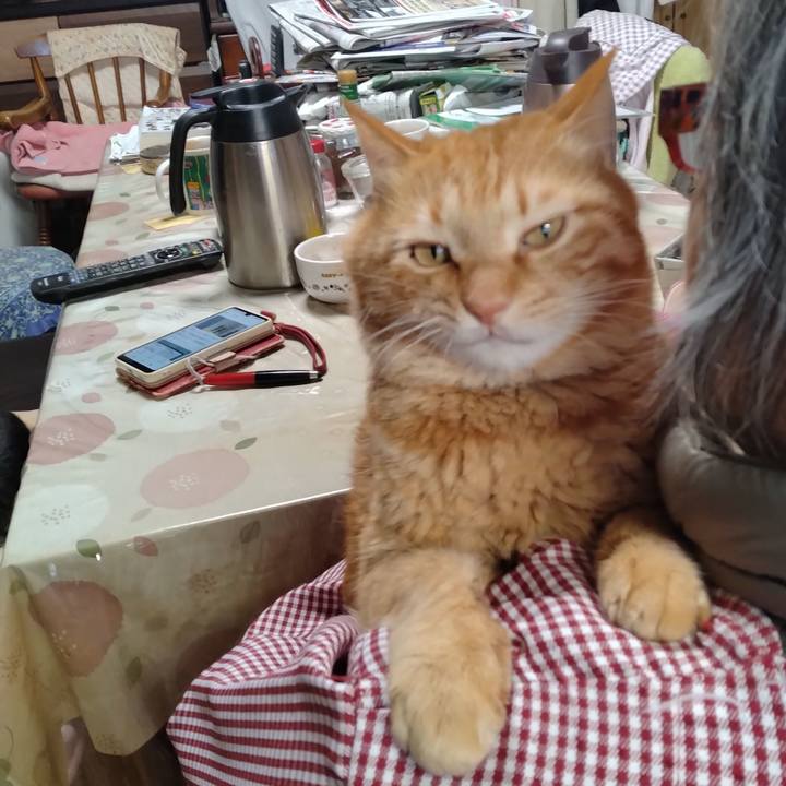 A947a07d 505c 4348 ba40 9b87d103b5b7 1709102278396